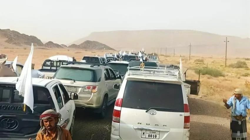 السلطات المحلية: أكثر من 40 سيارة تريد دخول مأرب بدون تنسيق