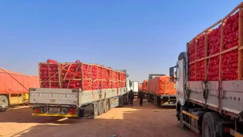 تكدس 400 شاحنة في الوديعة.. قرار سعودي بوقف استيراد البصل اليمني