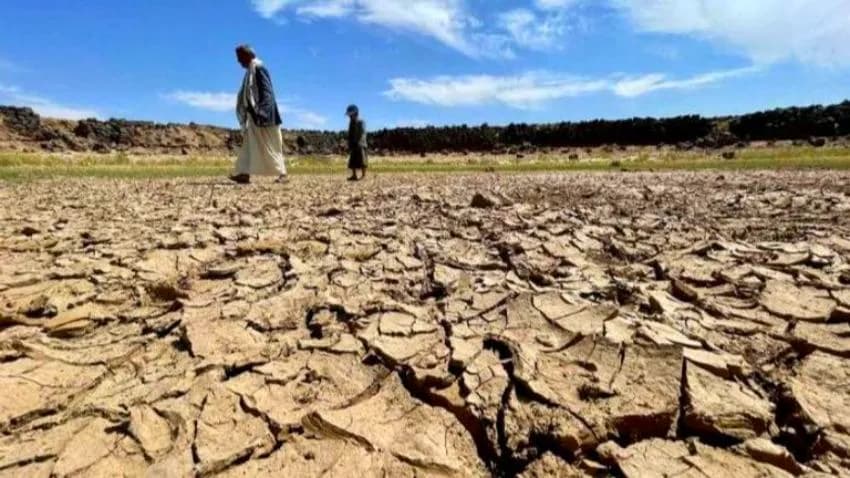 تقرير دولي: موجة حر وجفاف يهددان أجزاء واسعة من اليمن
