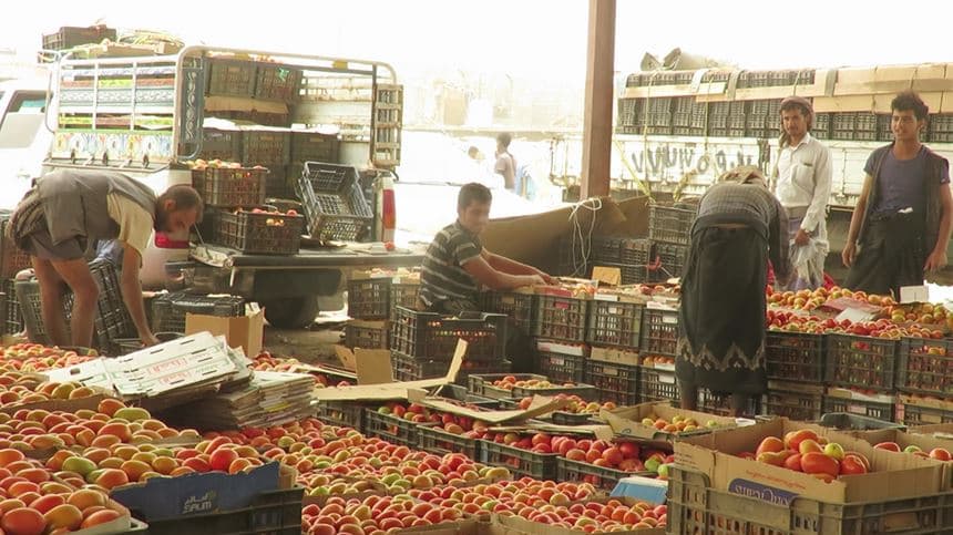 دراسة حديثة تكشف عن فجوات حادة في سبل العيش والاحتياجات الزراعية في مأرب