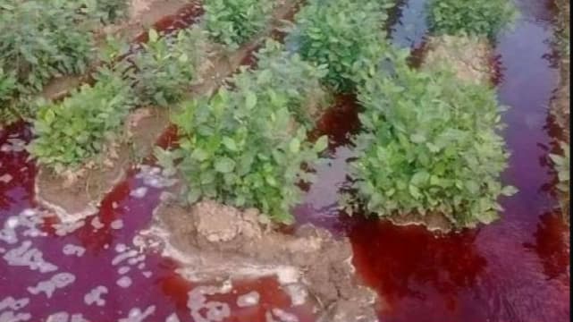 مزارعون يحذرون من انتشار مبيدات خطيرة ومجهولة المصدر في مناطق الحوثي