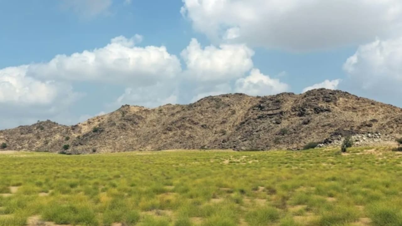 الأرصاد تحذر من شدة الحرارة ومن أمطار في بعض السواحل والمرتفعات