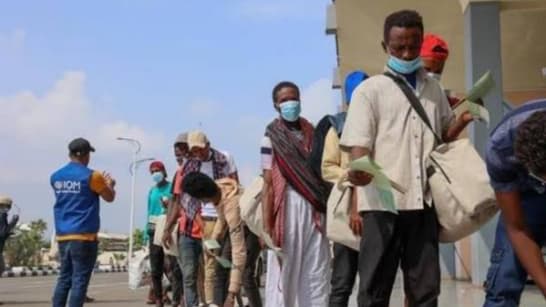 الهجرة الدولية: 1,666 مهاجرًا إثيوبيًا غادروا اليمن خلال أغسطس