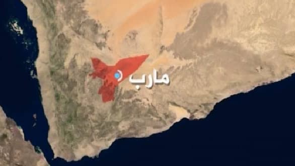 القوات المسلحة تحبط هجوما حوثيا واسعا على غرب وجنوبي مارب