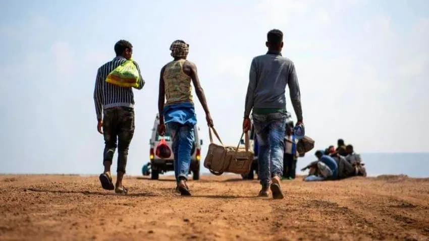 الهجرة الدولية: أكثر من 20 ألف مهاجر إفريقي وصلوا إلى اليمن خلال ديسمبر
