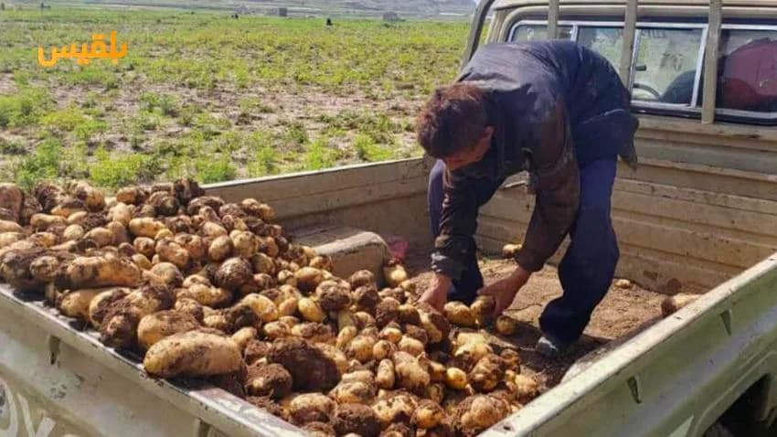 في يومهم العالمي.. معلمو اليمن بين قسوة الحرب ورسالة التعليم