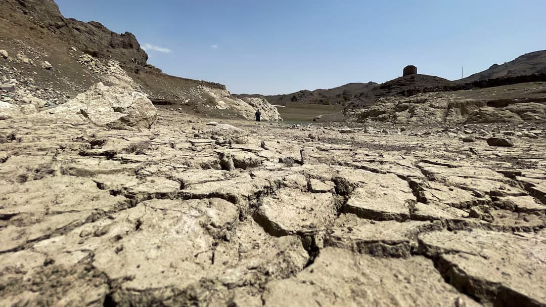 أزمة تتسع بصمت.. التصحر يهدد مستقبل الزراعة في اليمن