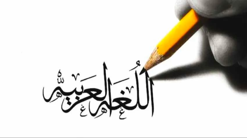 اللغة الميّتة وعطالة الذهن البشري..
