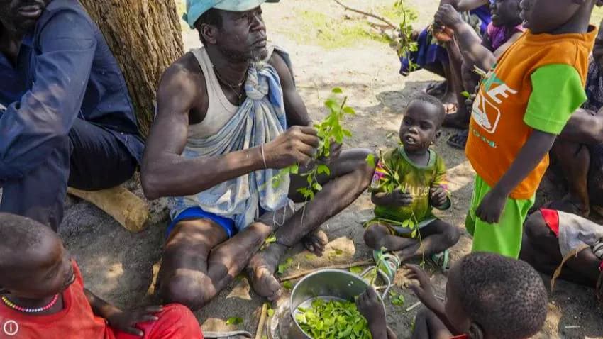 الأمم المتحدة تحذر من "جوع كارثي" في السودان خلال الأشهر المقبلة