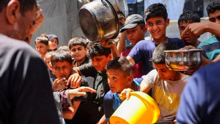 عيد غزة من دون أضاحٍ.. وشبح الجوع ينذر بكارثة