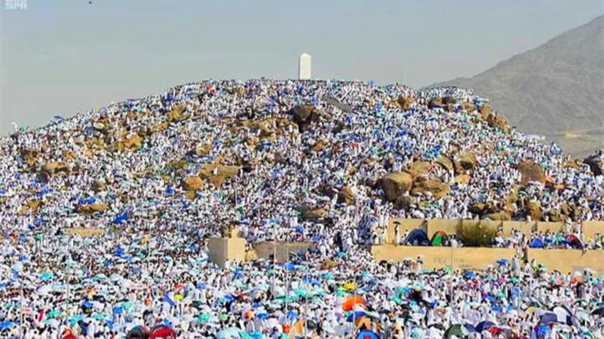 لأداء الركن الأعظم.. حجاج البيت الحرام يتوافدون إلى صعيد عرفات