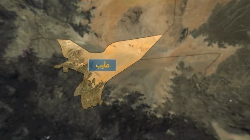 مأرب.. قتلى وجرحى حوثيين بهجمات للجيش وغارات للتحالف