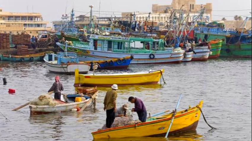 الحوثيون يفرجون عن 20 صياداً مصرياً بعد 45 يوماً من الاختطاف