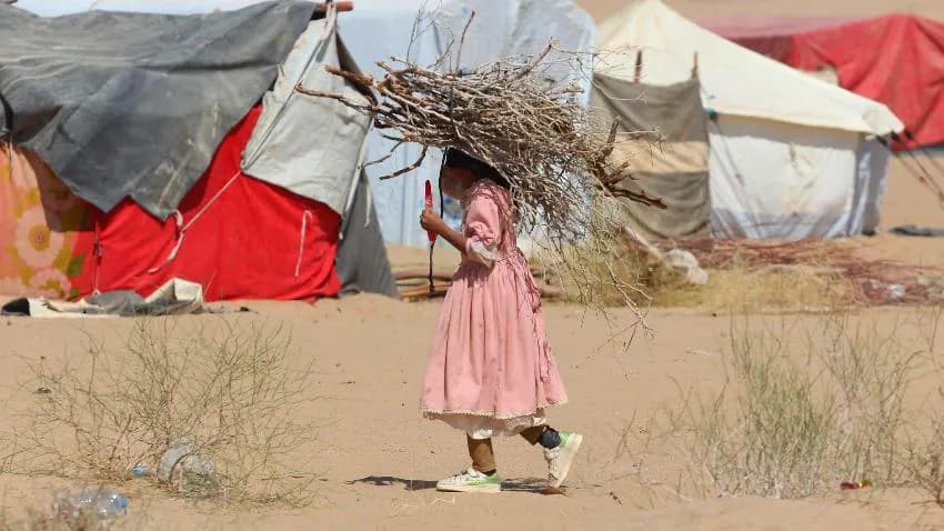 بين الجوع والمرض.. نازحون في تعز يواجهون مصيرهم وأقدارهم القاسية