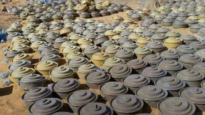 خلال أسبوع فقط.. نزع 383 لغما أرضيا زرعتها مليشيا الحوثي