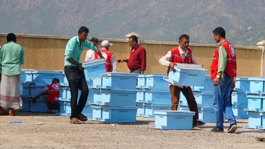 الصليب الأحمر: 40% من المرافق الصحية في اليمن متوقفة عن العمل