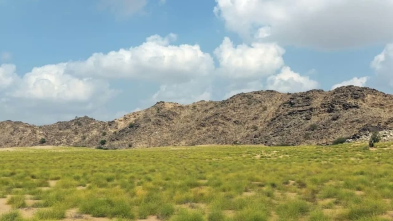 الأرصاد تتوقّع استمرار الطقس شديد الحرارة ويحذر من أمطار بالمرتفعات الغربية والجنوبية الغربية