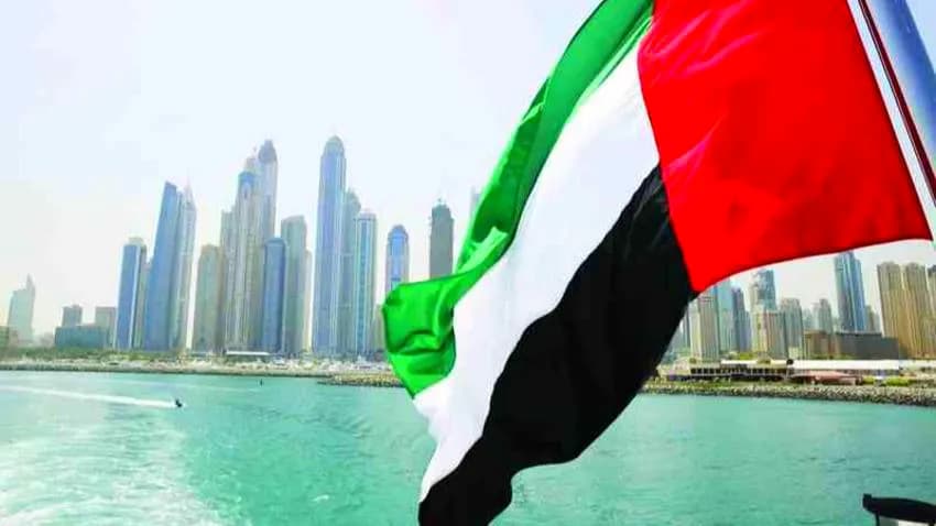 الإمارات تدعو جيوش الدول الحليفة إلى تشكيل درع حماية من الطائرات المسيّرة