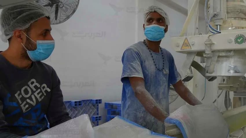 ارتفاع قياسي في أسعار القمح مع استمرار الحرب الروسية - الأوكرانية
