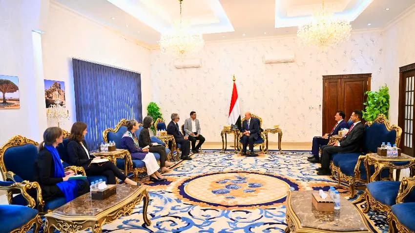 العليمي يحث الاتحاد الأوروبي باتخاذ قرارات عاجلة بتصنيف مليشيات الحوثي 'منظمة إرهابية'
