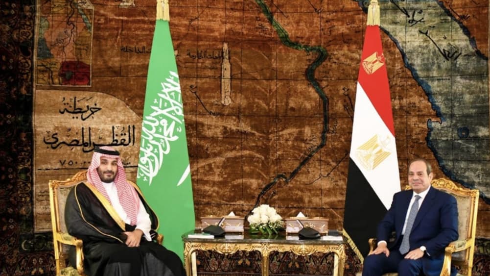 مصر والسعودية تؤكدان أهمية أمن الملاحة في البحر الأحمر وباب المندب وتدعمان حلاً سياسياً لليمن