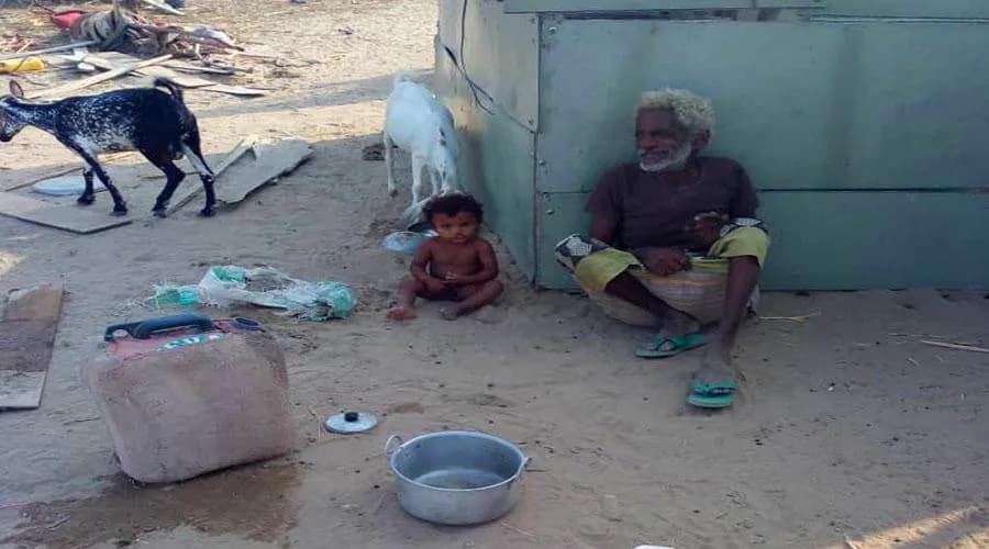 بسبب الحرب.. الأشجار منازل بديلة لنازحي أبين