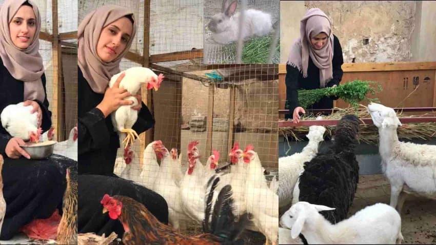 لُجين.. شابة جامعية تحوّل سطح منزلها إلى مزرعة حيوانات
