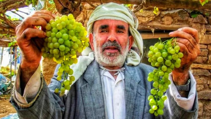 بذريعة دعم الجبهات.. هكذا يبتز الحوثيون المزارعين في مناطق سيطرتهم