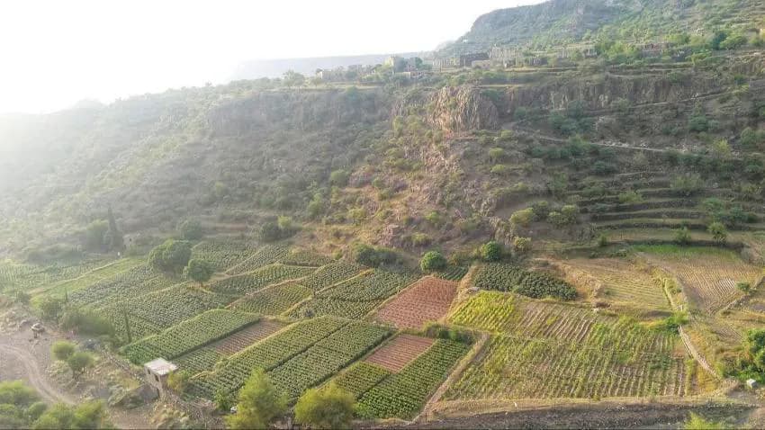 تدهور الزراعة وارتفاع سعر الغذاء.. نصيب المزارعين من التغيّر المناخي