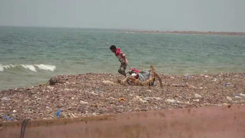 طفولة في ميدان العمل.. قصص من المعاناة اليومية