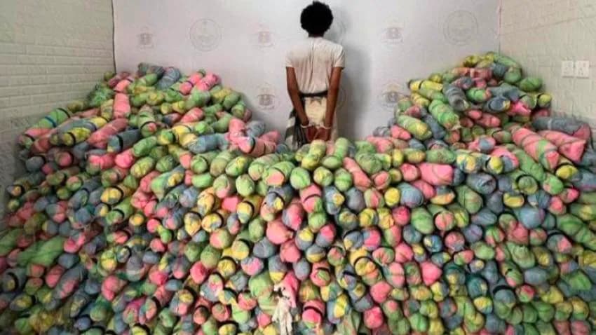 السعودية.. ضبط يمني بحوزته 441.5 كيلو غراما من "القات"